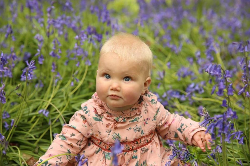 Eastbourne_family_photographer_bluebells_powell-ful_photography.7 little girl in a dress sitting on the floor surrounded by bluebells