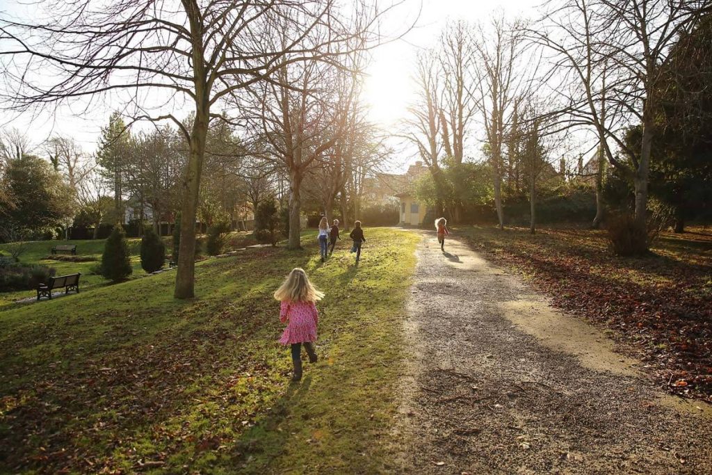 Eastbourne_family_photography_gildridge_park_powell-ful_photography.8 children running in a park in between tree with the sun shining on them